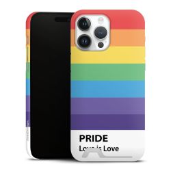 Premium Card Case matt