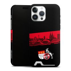 Premium Card Case matt