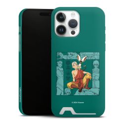 Premium Card Case matt