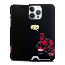 Premium Card Case matt