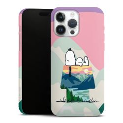 Premium Card Case matt