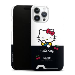 Premium Card Case matt