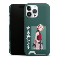 Premium Card Case matt