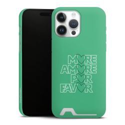 Premium Card Case matt