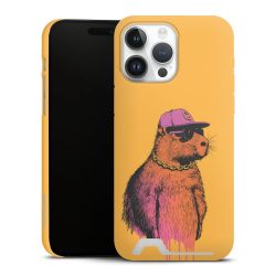 Premium Card Case matt