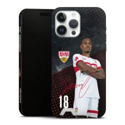 Premium Card Case matt