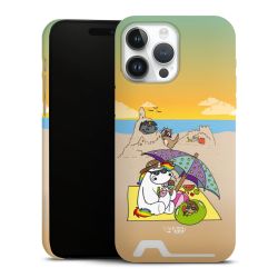 Premium Card Case matt