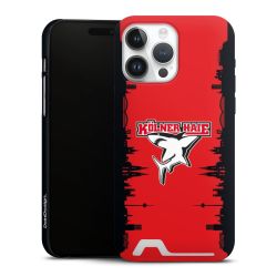 Premium Card Case matt