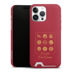 Premium Card Case matt