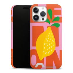 Premium Card Case matt