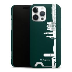 Premium Card Case matt