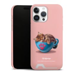 Premium Card Case matt