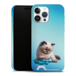 Premium Card Case matt