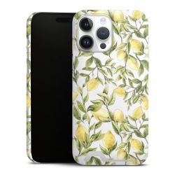 Premium Card Case matt