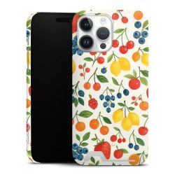 Premium Card Case matt