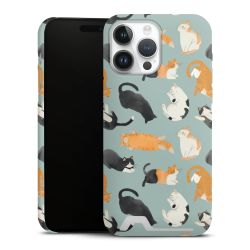 Premium Card Case matt