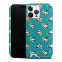 Premium Card Case matt