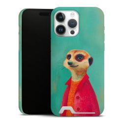 Premium Card Case matt