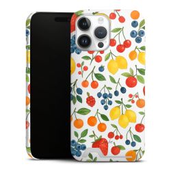 Premium Card Case matt