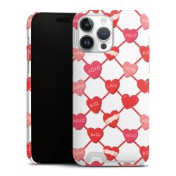 Premium Card Case matt