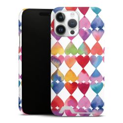 Premium Card Case matt