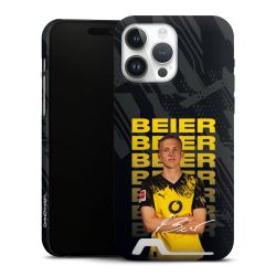 Premium Card Case matt