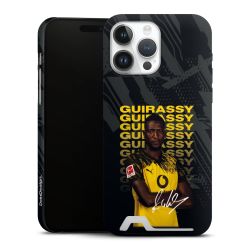 Premium Card Case matt