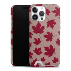 Premium Card Case matt