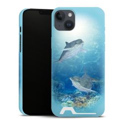 Premium Card Case matt