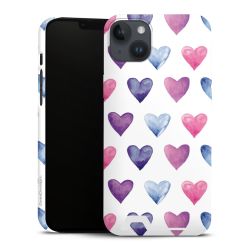 Premium Card Case matt