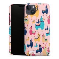 Premium Card Case matt