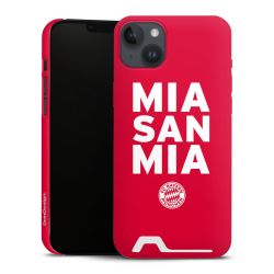 Premium Card Case matt