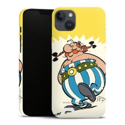 Premium Card Case matt