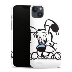 Premium Card Case matt