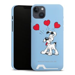 Premium Card Case matt