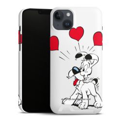 Premium Card Case matt