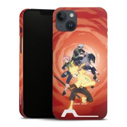 Premium Card Case matt