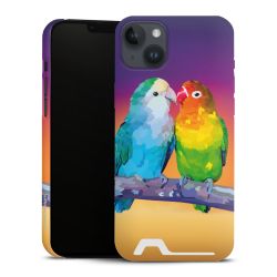 Premium Card Case matt