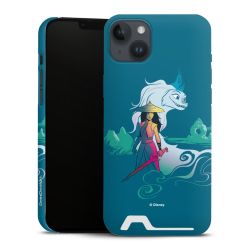 Premium Card Case matt