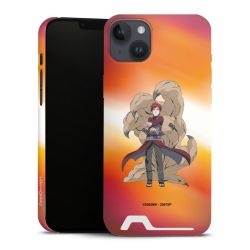 Premium Card Case matt