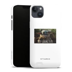 Premium Card Case matt