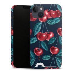 Premium Card Case matt