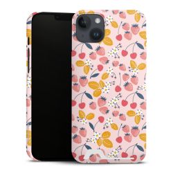 Premium Card Case matt