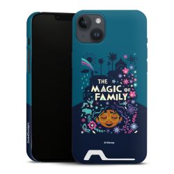 Premium Card Case matt