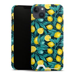 Premium Card Case matt