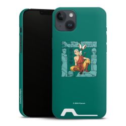 Premium Card Case matt