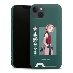 Premium Card Case matt