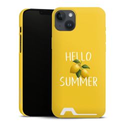 Premium Card Case matt