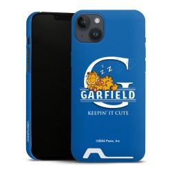 Premium Card Case matt