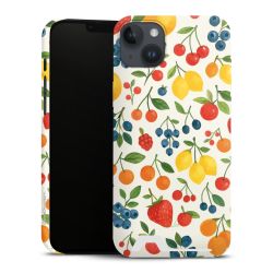 Premium Card Case matt